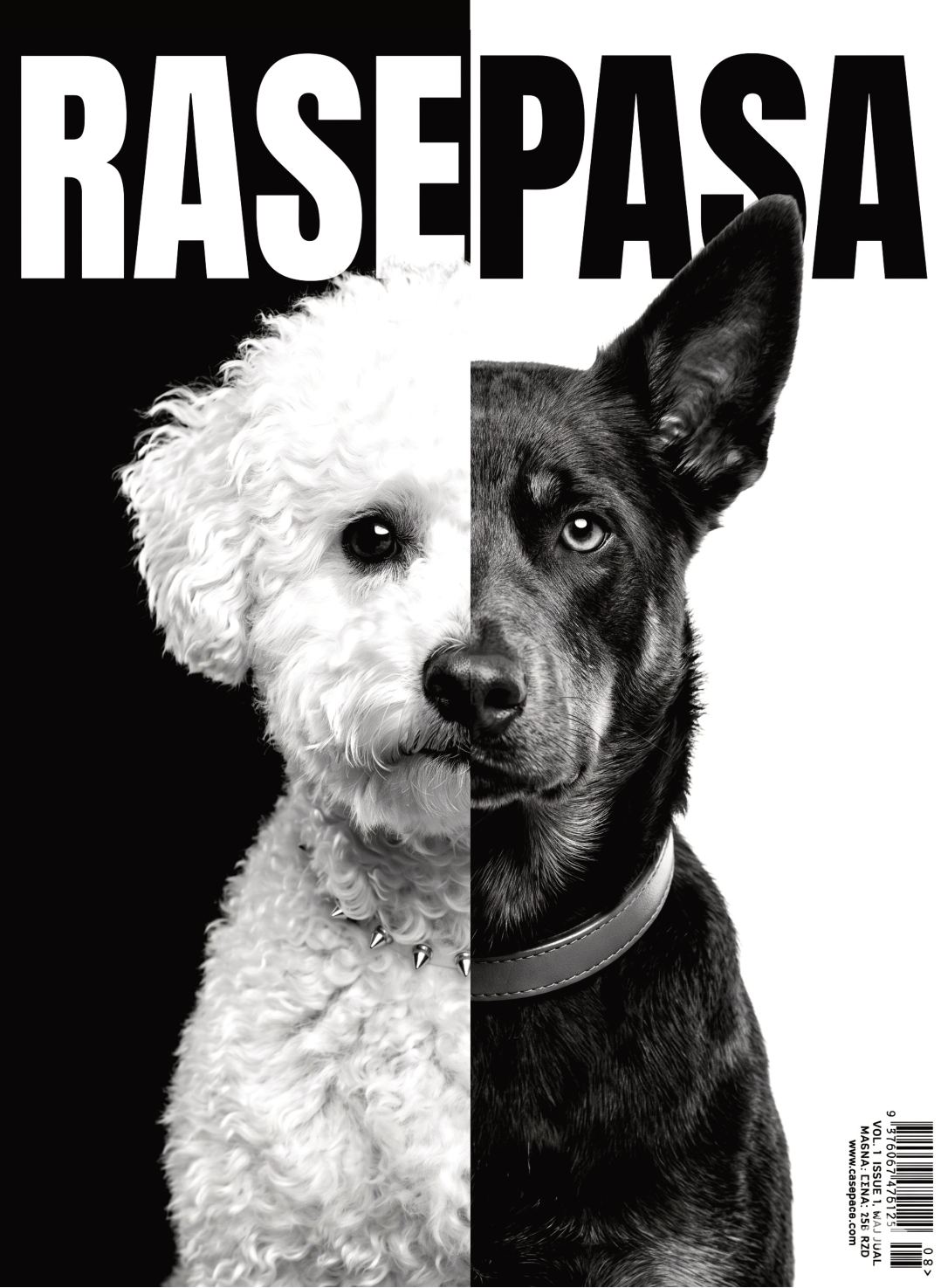 Rasepasa — Cover