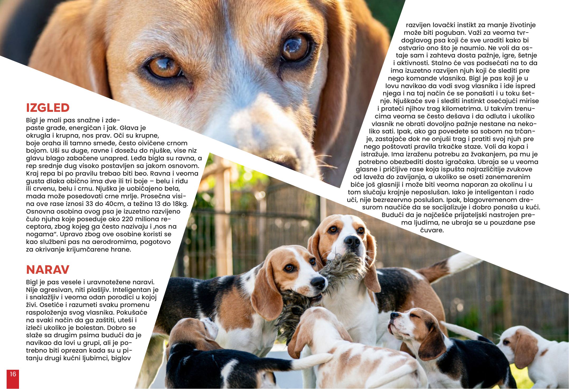 Spread · 08