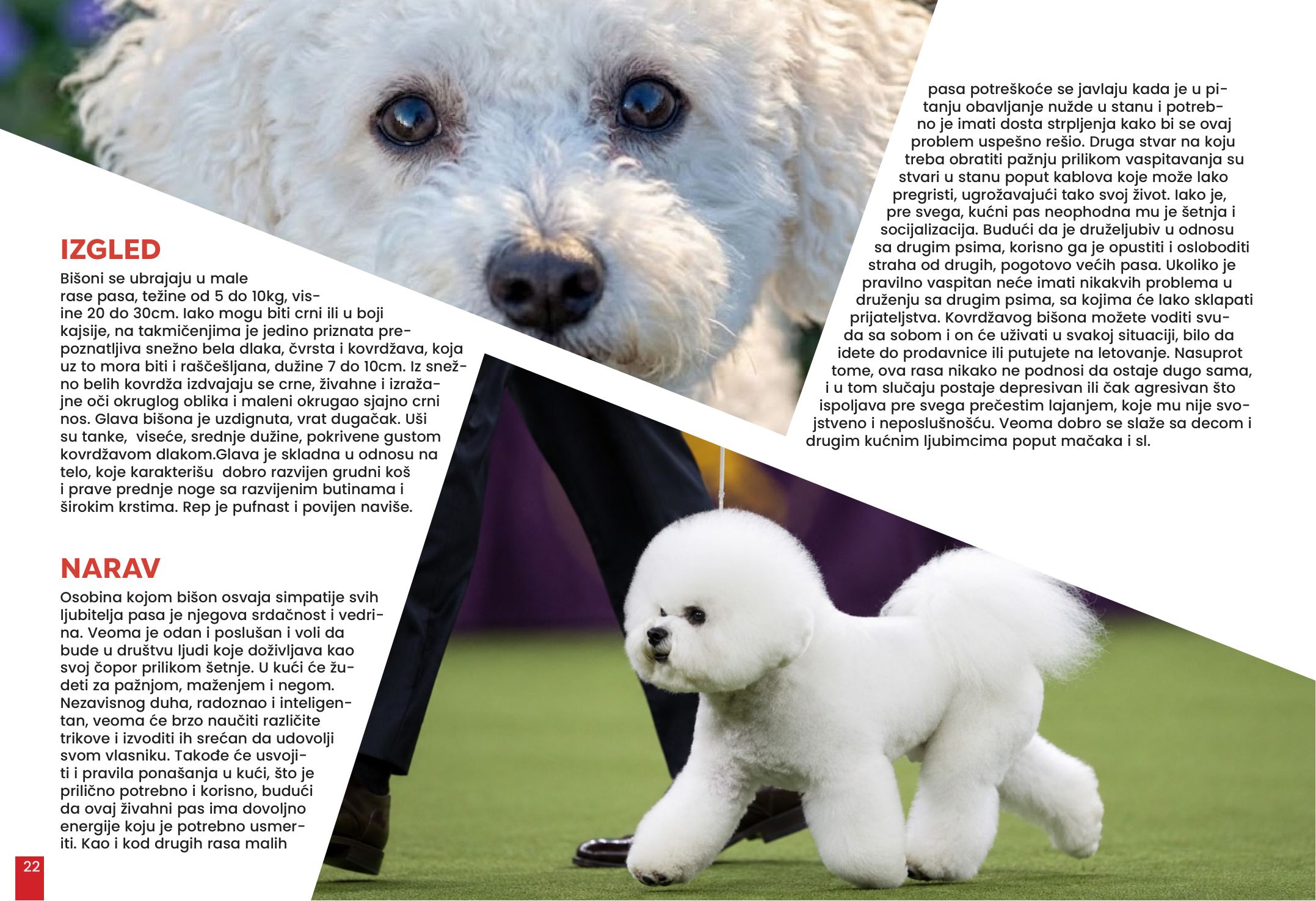Spread · 11